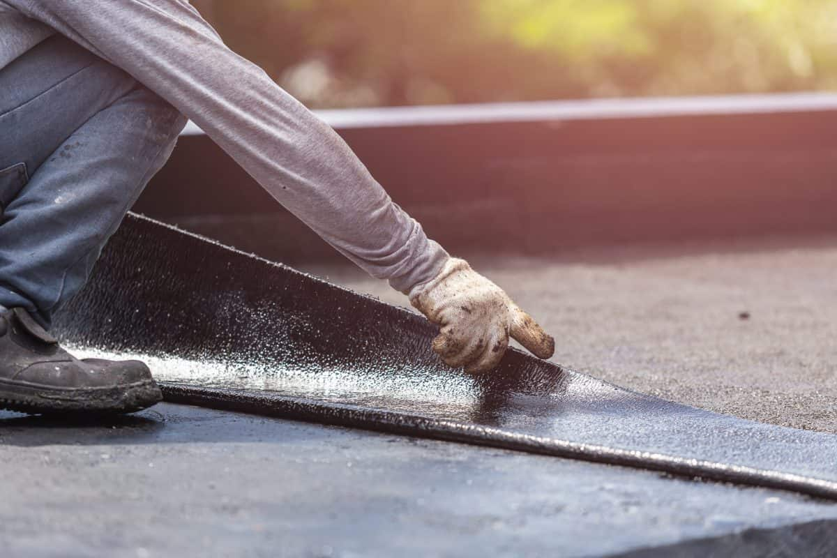  Roof Waterproofing; Paint Membrane 3 Forms Liquid Sheet Roll 